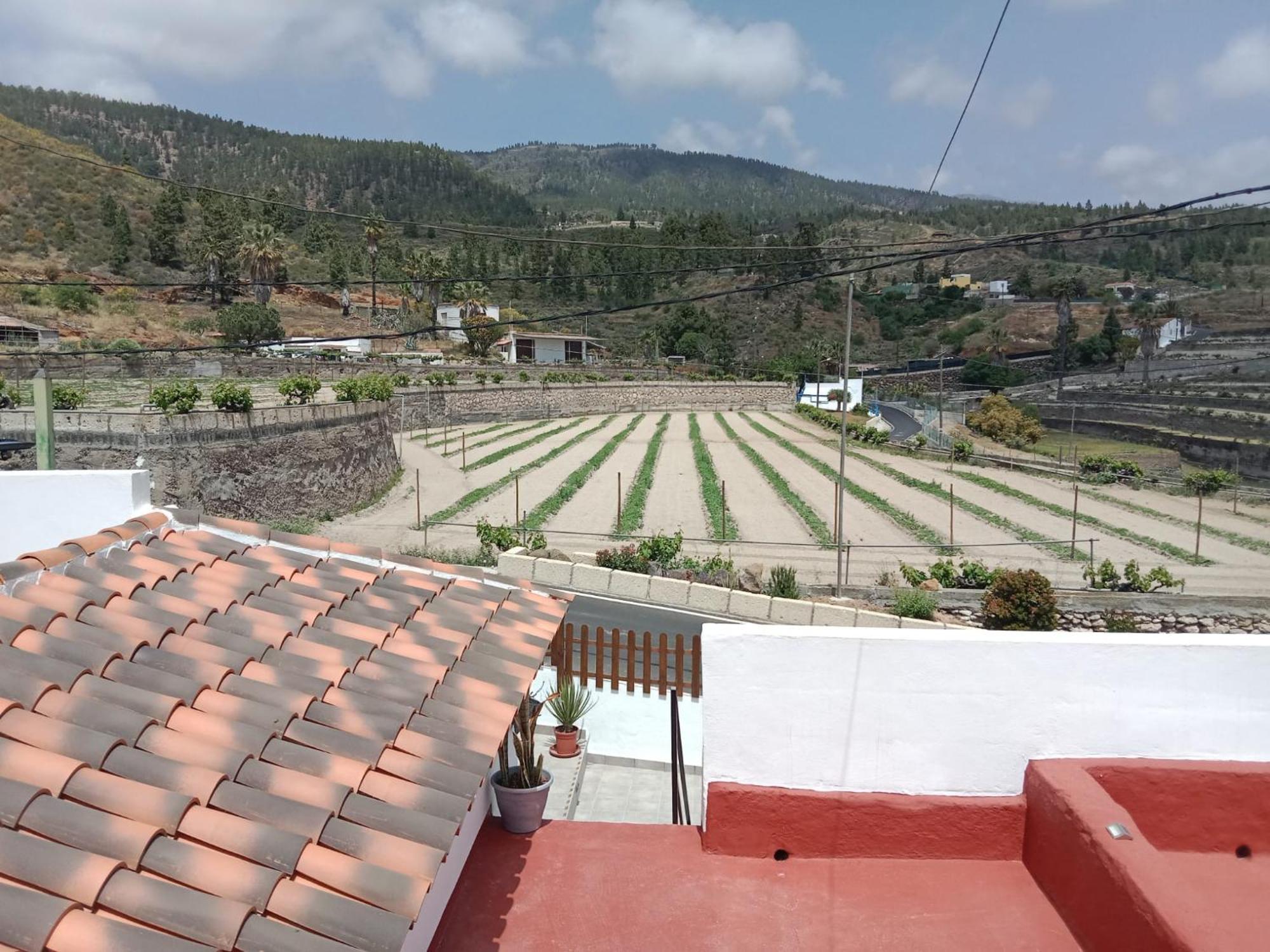 Casa El Escano Granadilla De Abona Εξωτερικό φωτογραφία